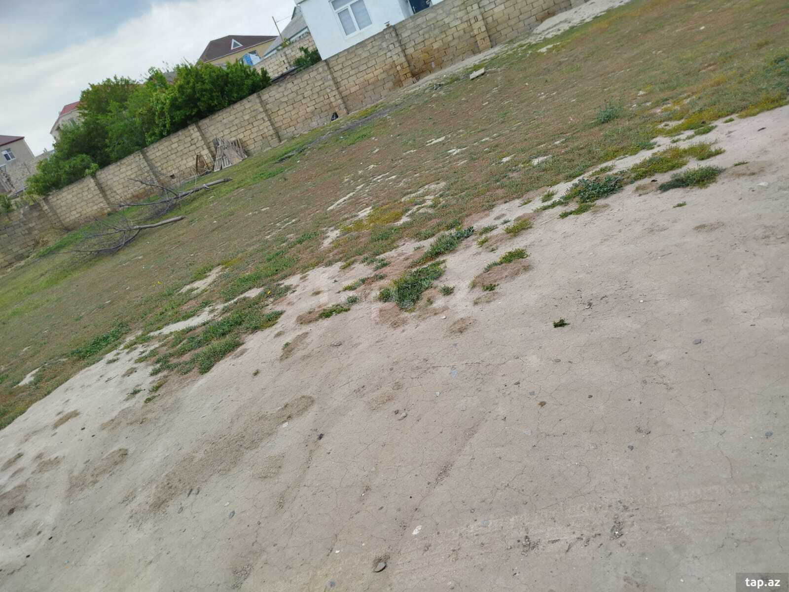 6 sot torpaq sahəsi, Saray qəs. (3)