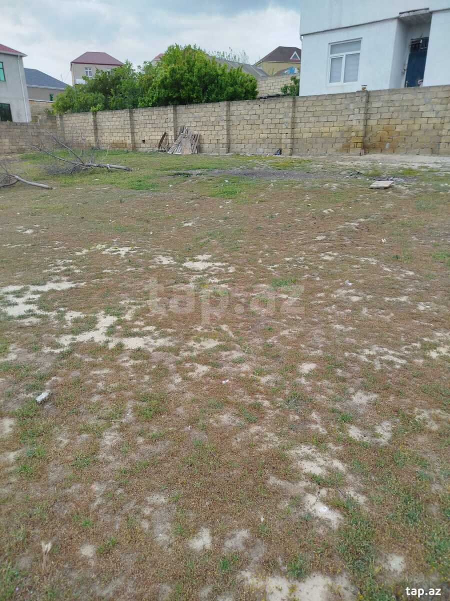6 sot torpaq sahəsi, Saray qəs.