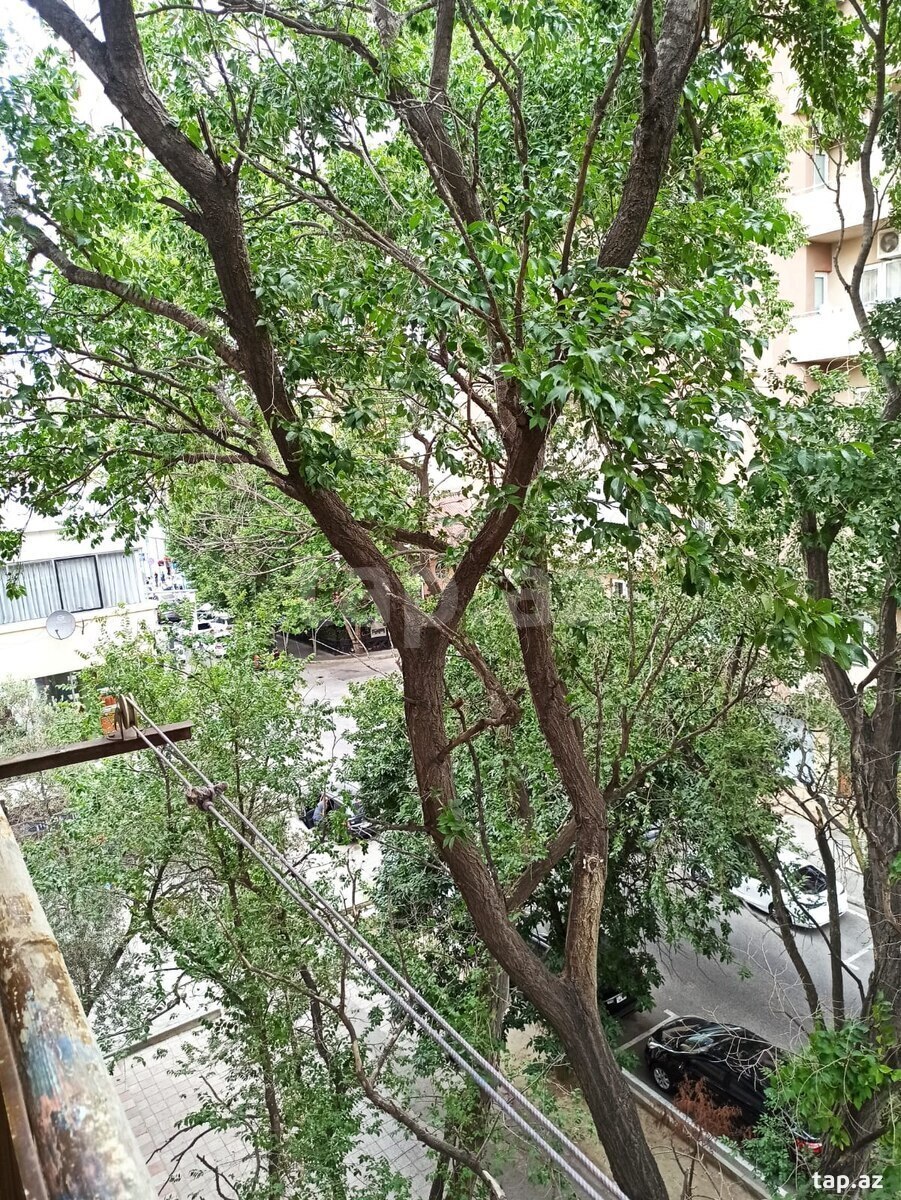 1-otaqlı mənzil kirayə verilir, E. Akademiyası m., 35 m² (11)