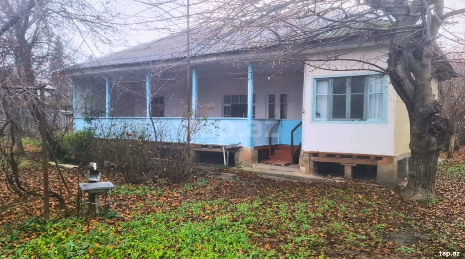 Həyət evi, Oğuz r.