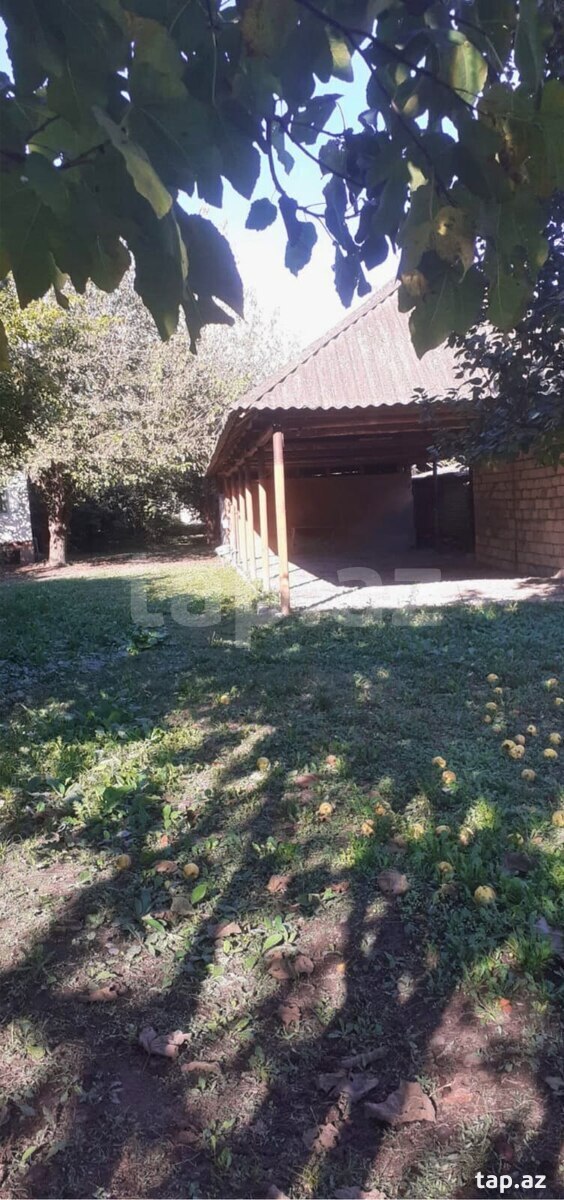 Həyət evi, Oğuz r.