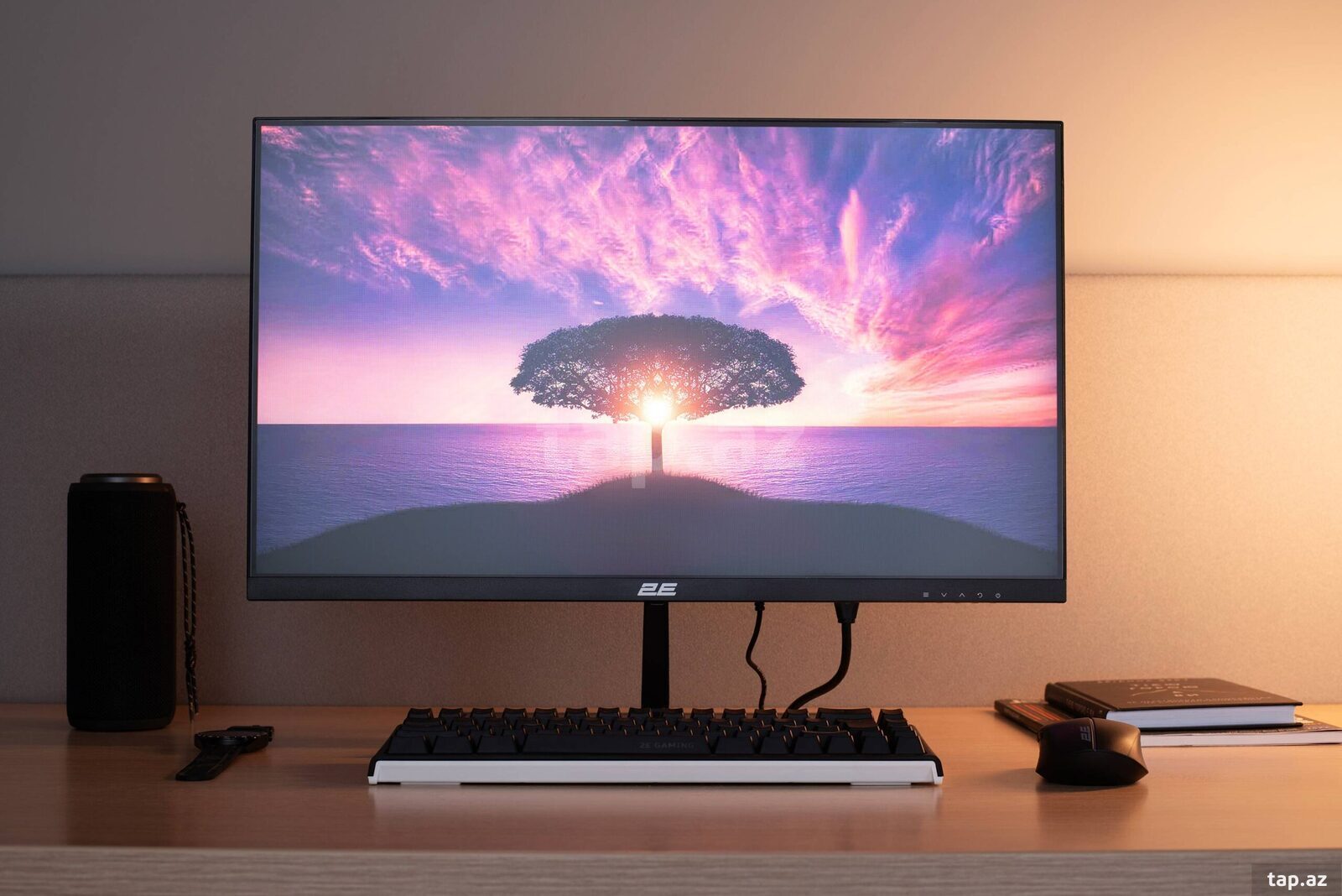 2E Monitor 23.8" D2425B D-Sub, HDMI, MM, IPS, 100Hz, FreeSync (3)