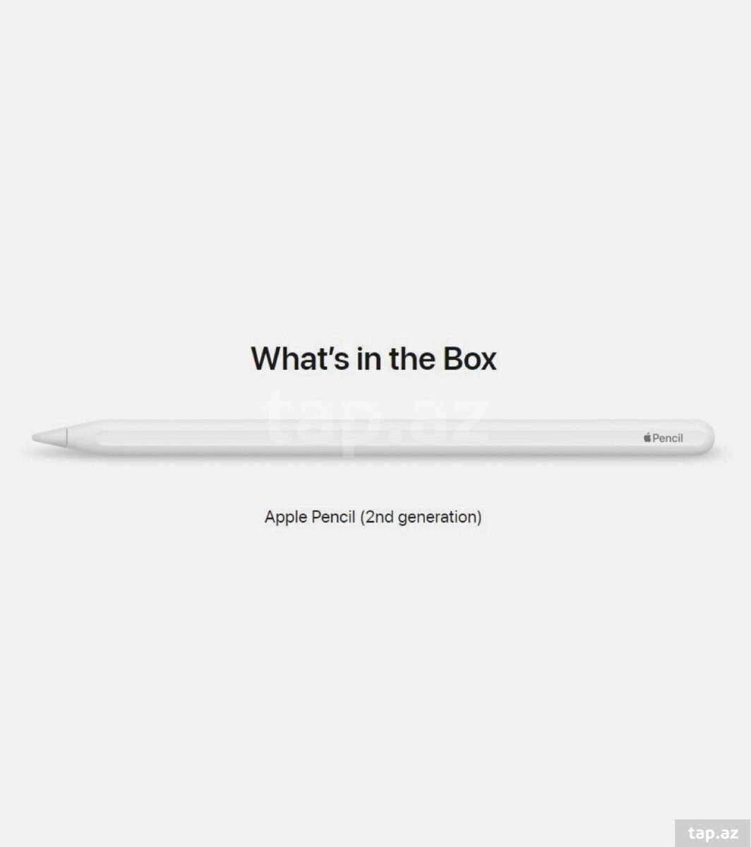 Apple Pencil 2 (2-ci nəsil)  (2)