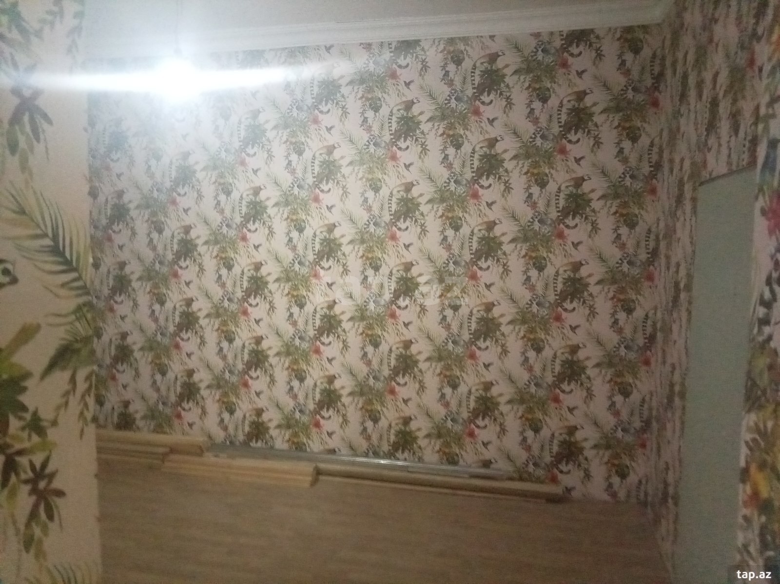 Həyət evi, Nardaran qəs. (6)