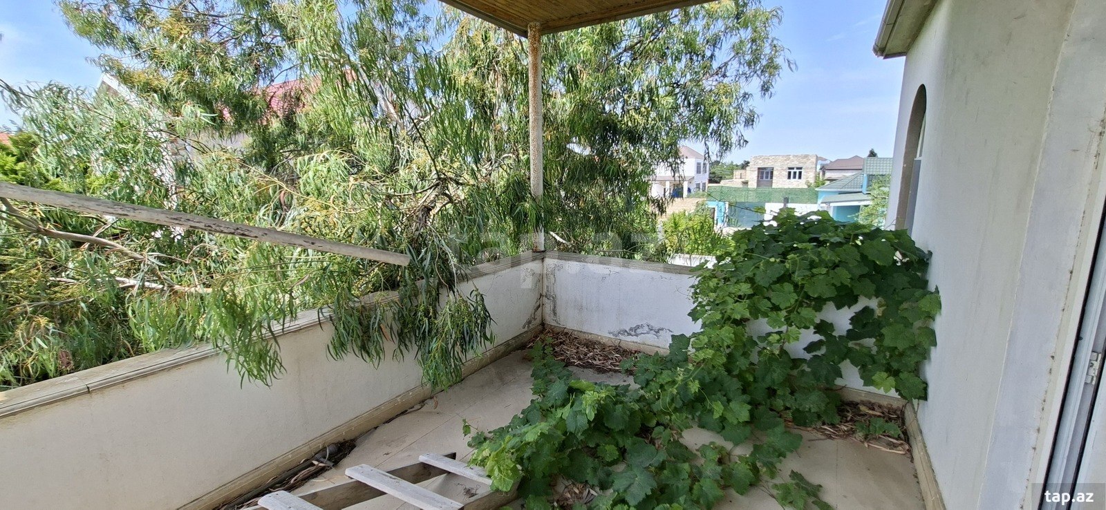 Bağ evi, Türkan qəs. (14)