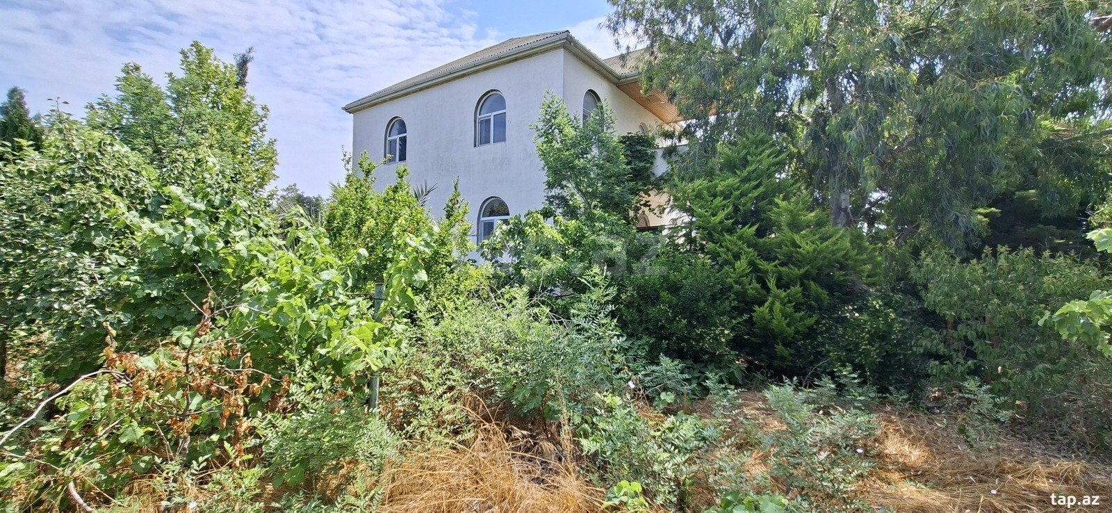 Bağ evi, Türkan qəs. (2)