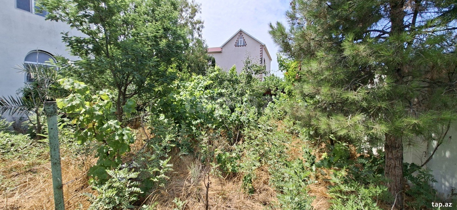 Bağ evi, Türkan qəs. (4)