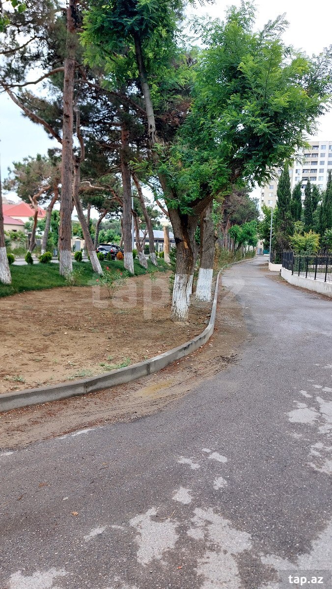 Həyət evi, Qaraçuxur qəs. (6)