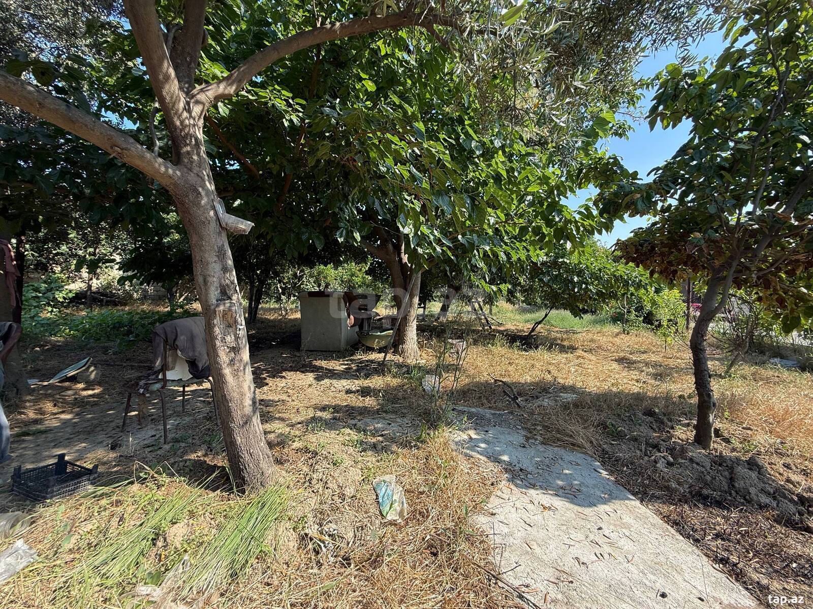 12 sot torpaq sahəsi, Ceyranbatan qəs. (2)