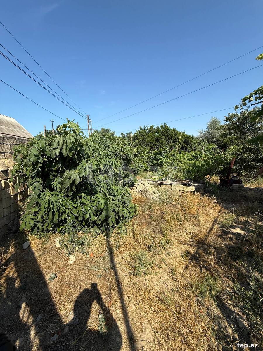 12 sot torpaq sahəsi, Ceyranbatan qəs.