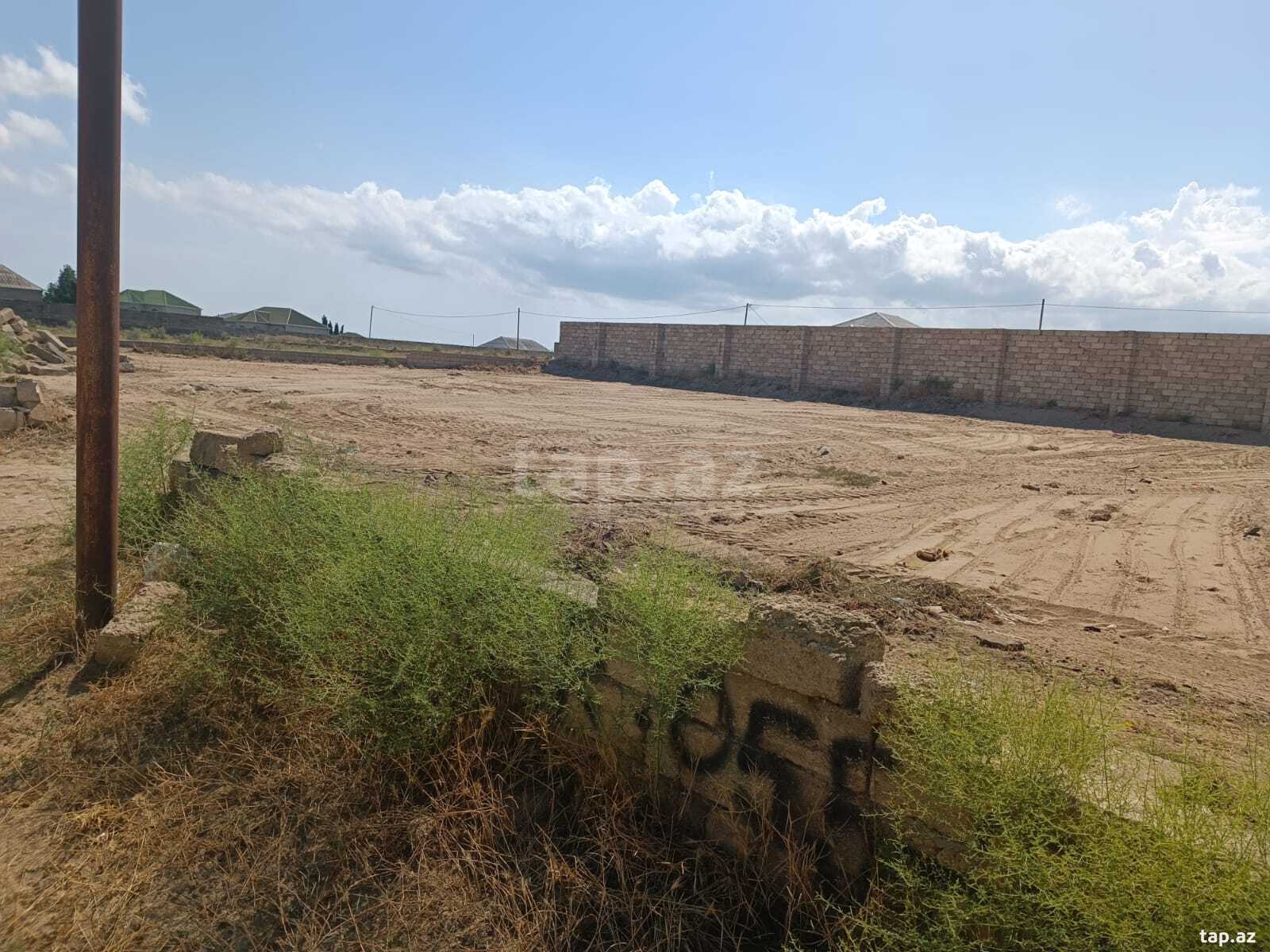 11.5 sot torpaq sahəsi, Zirə qəs. (3)