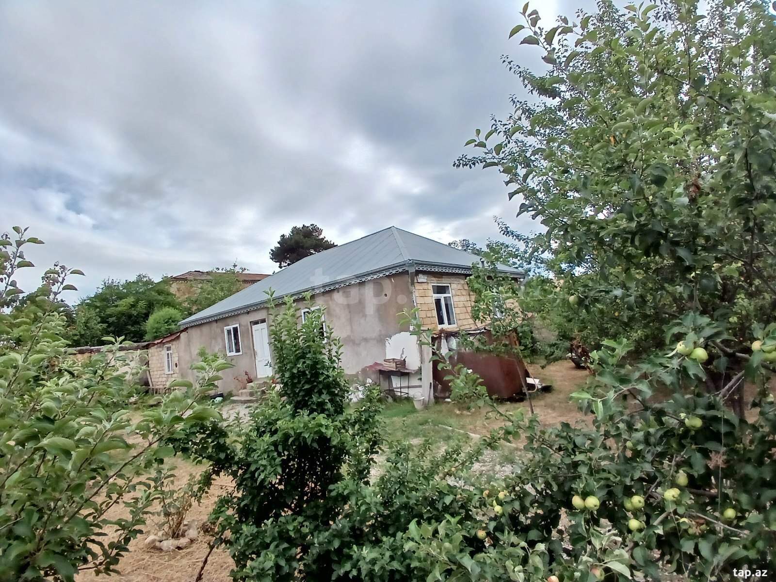 Həyət evi, Şamaxı r. (9)