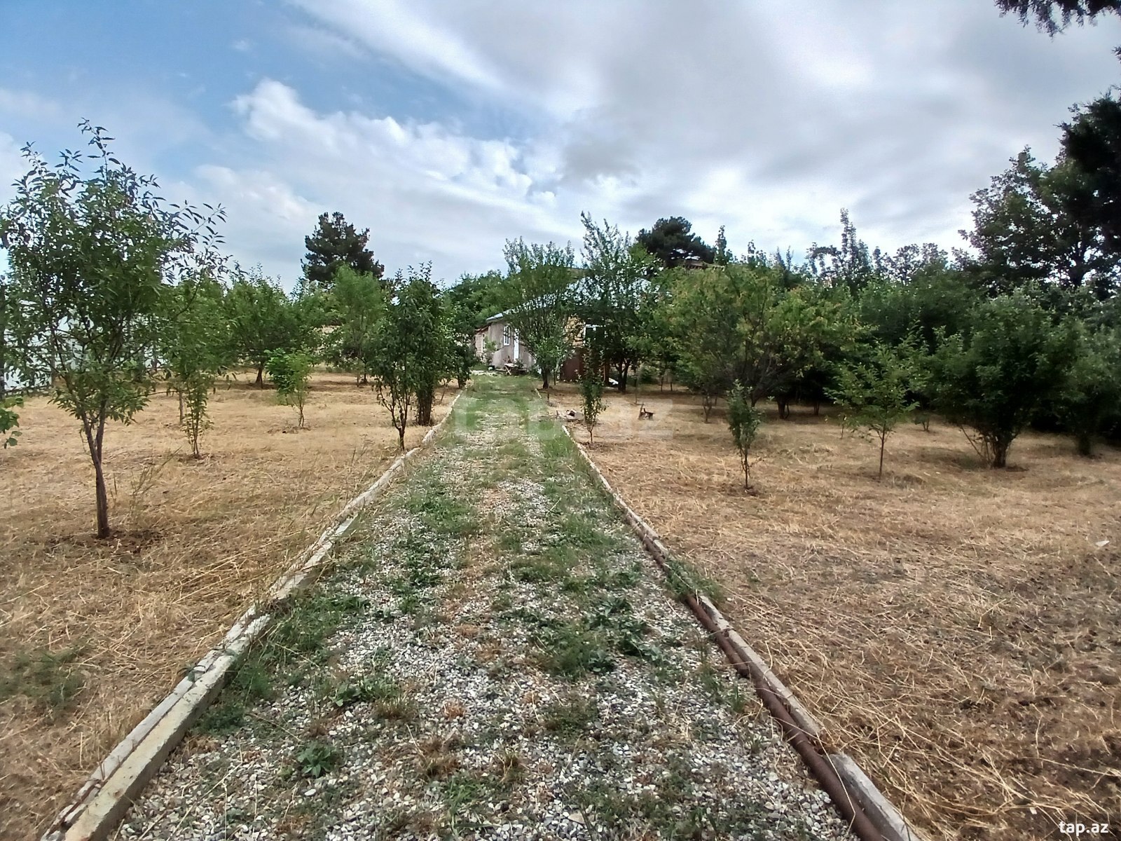 Həyət evi, Şamaxı r. (8)