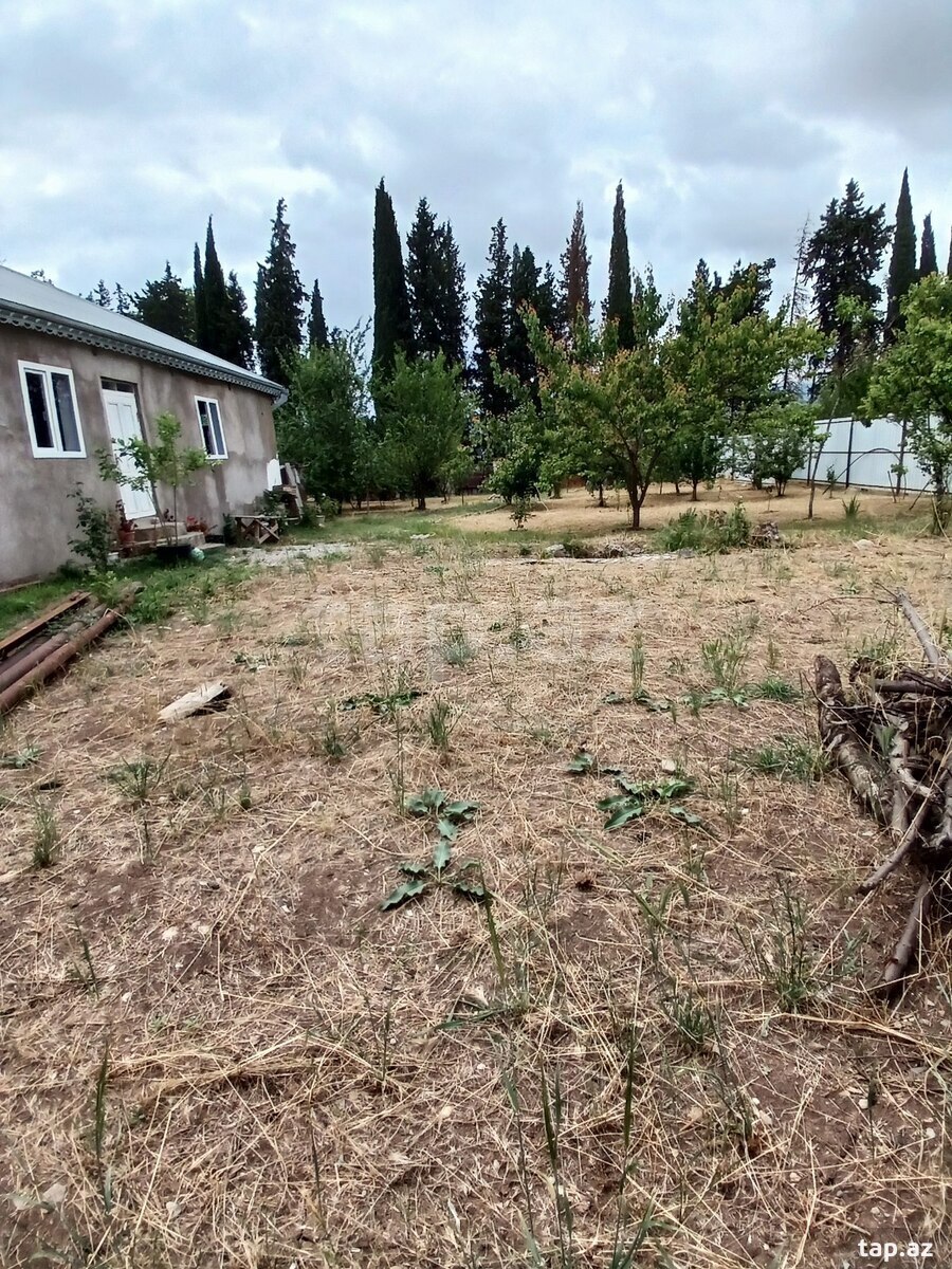 Həyət evi, Şamaxı r. (10)