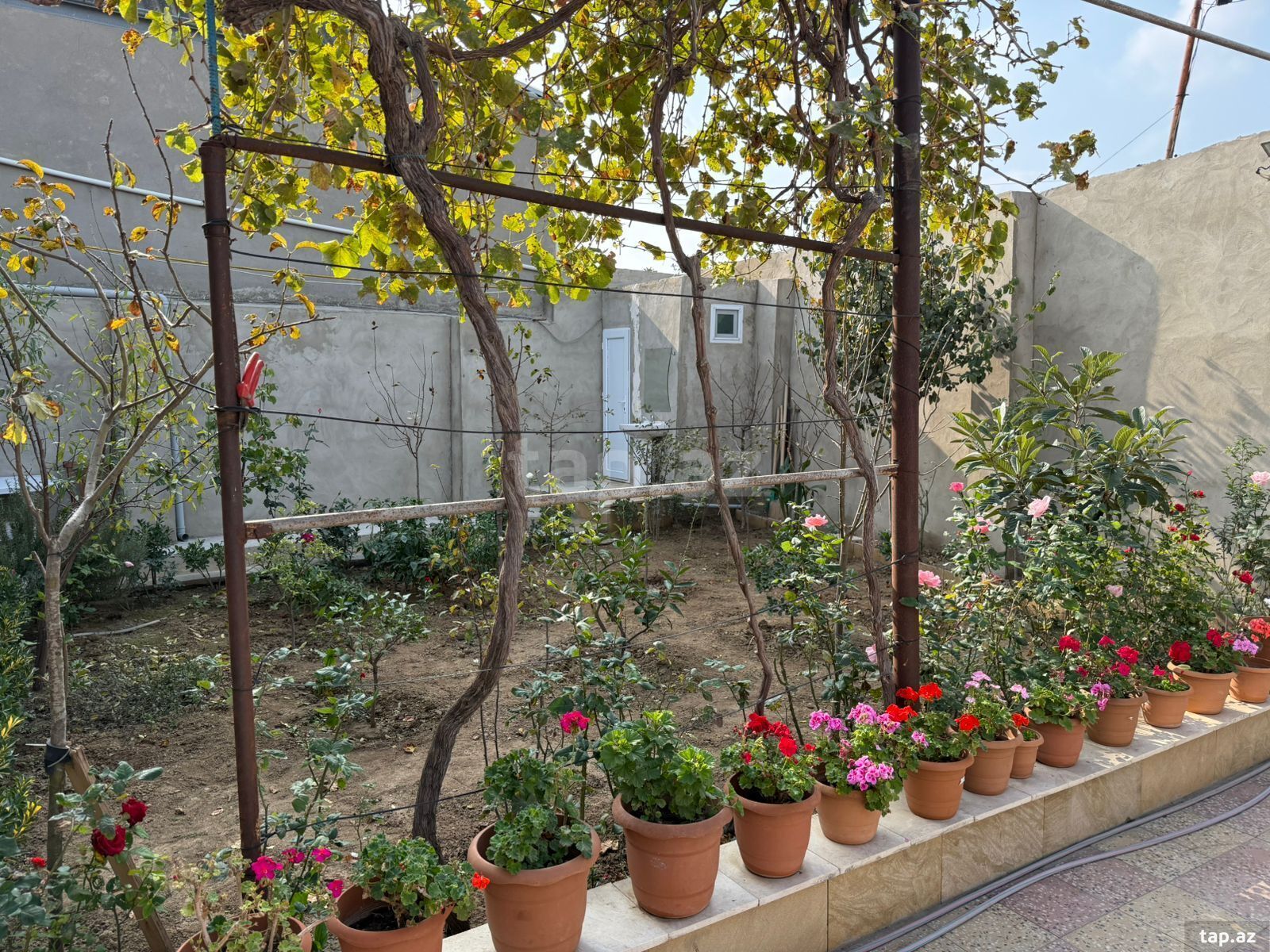 Həyət evi, Maştağa qəs. (3)