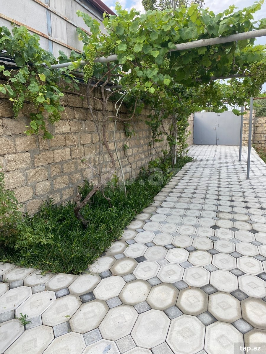 Həyət evi, Buzovna qəs. (4)