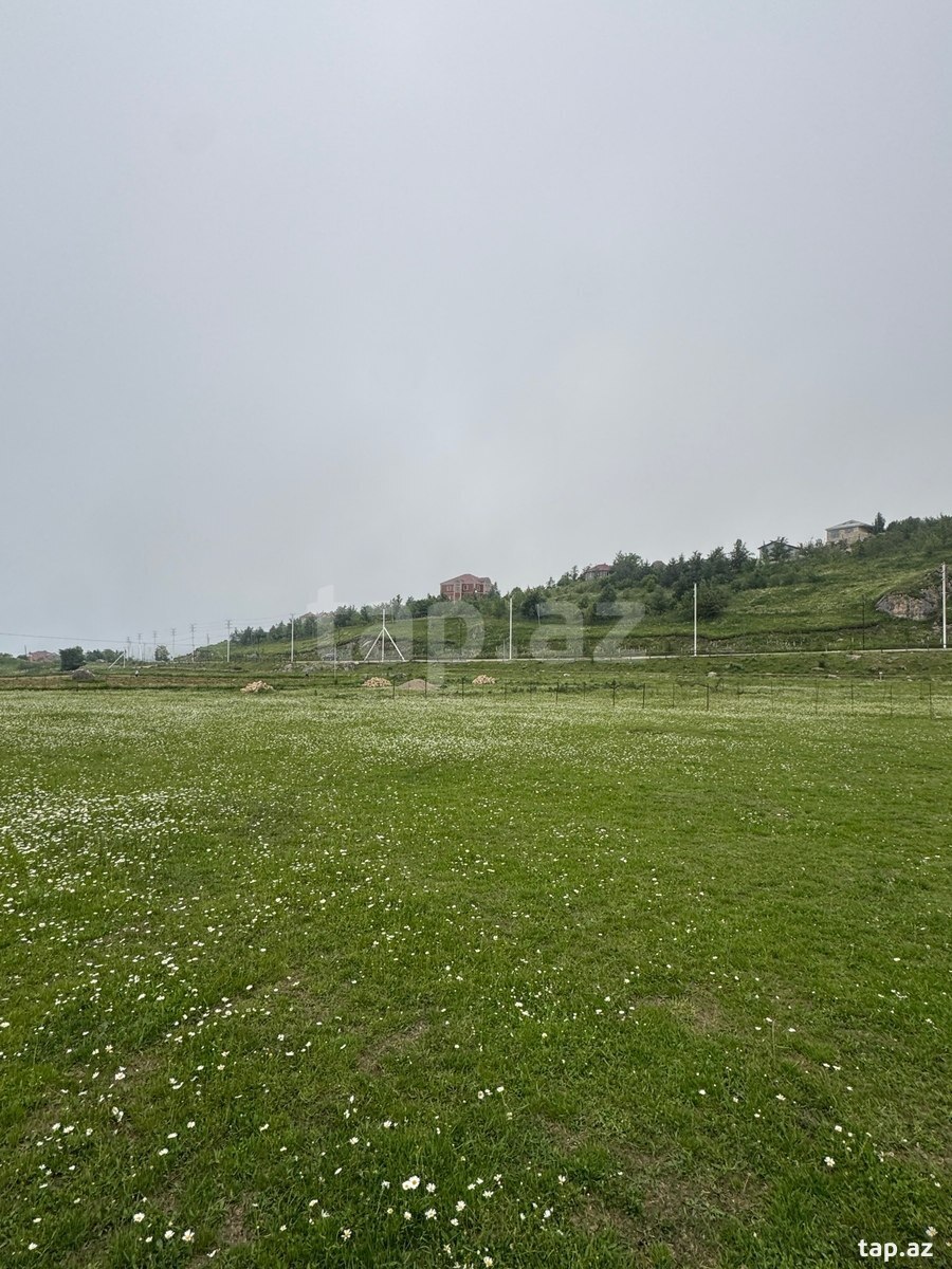 24 sot torpaq sahəsi, Aladaş k. (2)