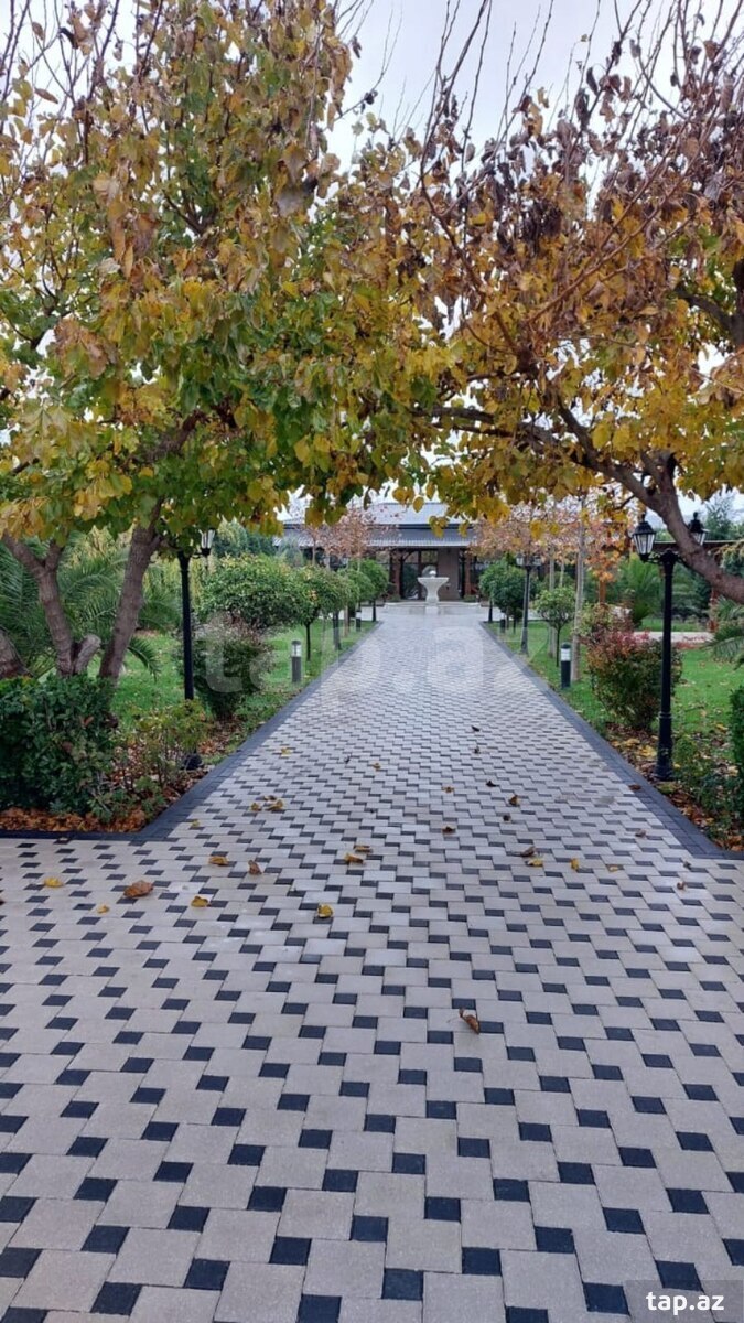 Tamet ustası (25)