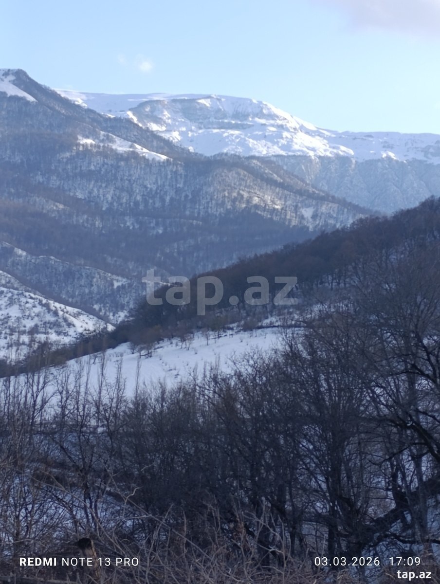 15 sot torpaq sahəsi, Quba r. (7)