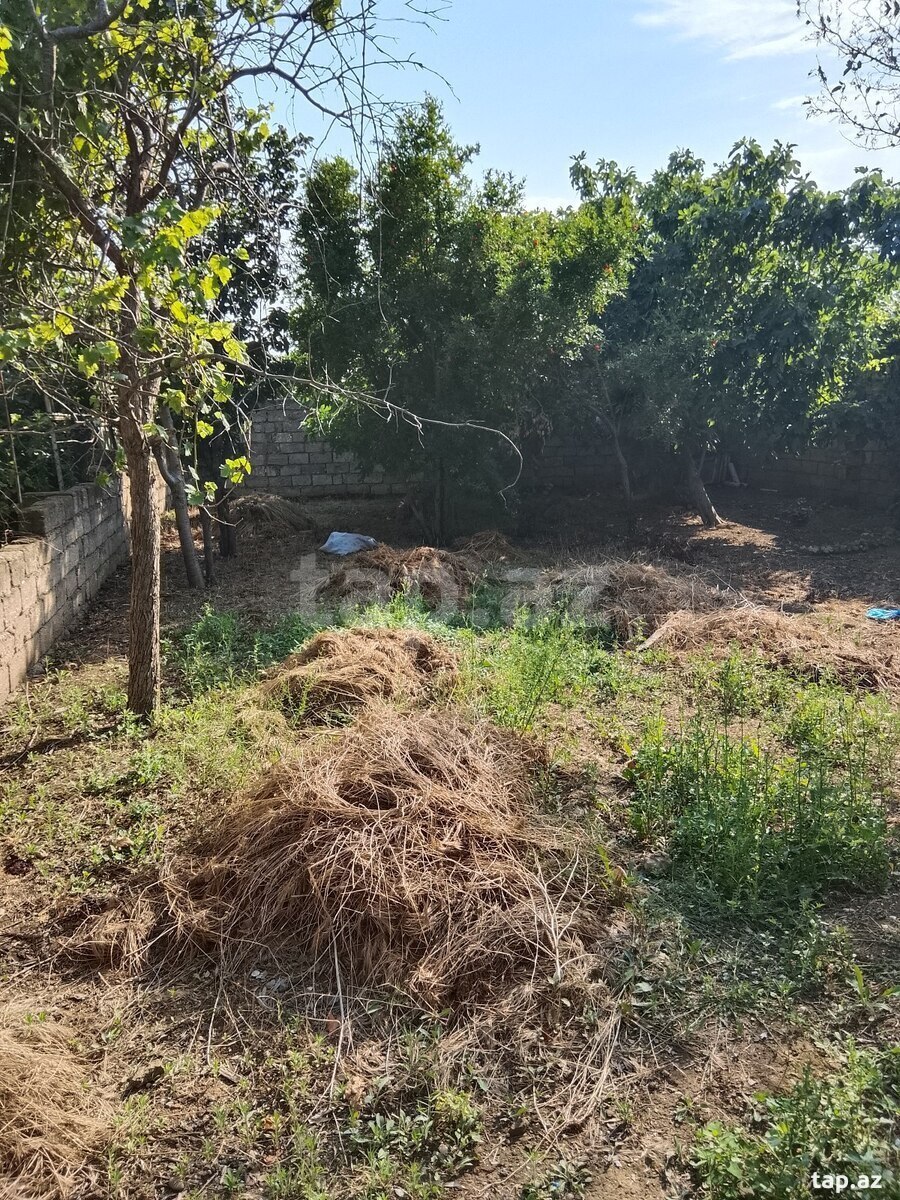 Həyət evi, Ramana qəs. (4)