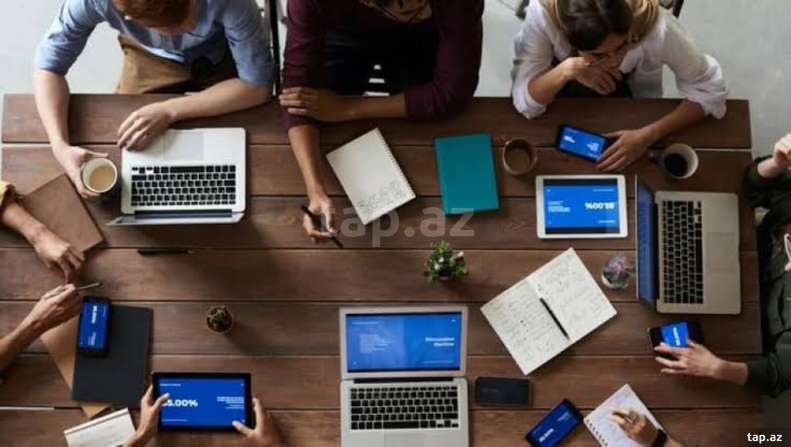 Sayt və Mobil Tətbiq hazırlanması