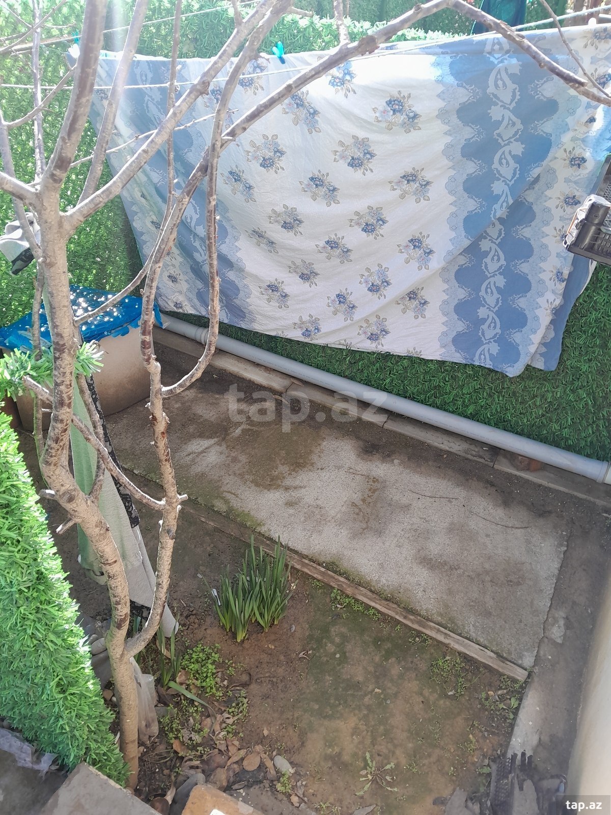 1-otaqlı mənzil kirayə verilir, Razin qəs., 35 m² (12)