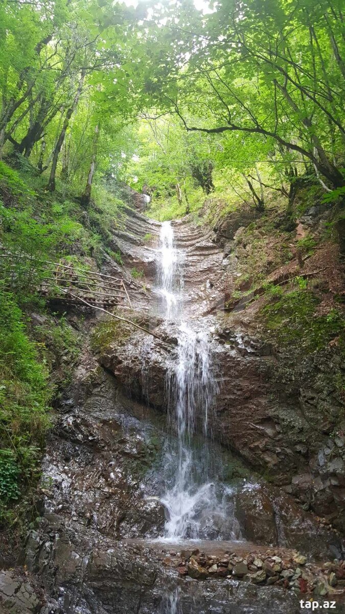 Bağ evi kirayə verilir, Oğuz r.