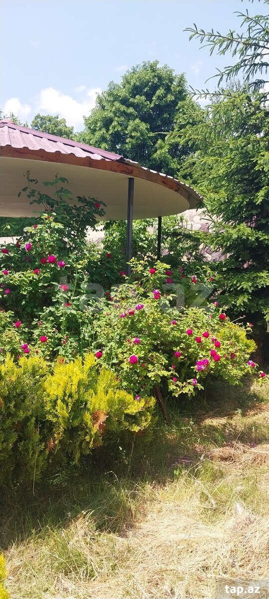 Bağ evi kirayə verilir, Oğuz r. (25)