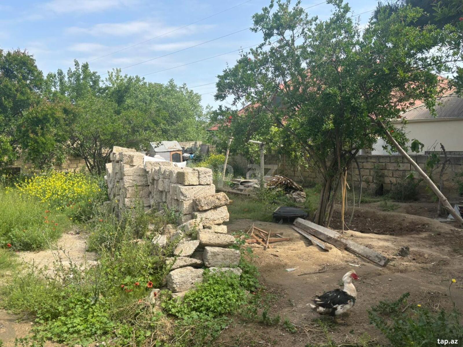 9 sot torpaq sahəsi, Bakıxanov qəs. (5)