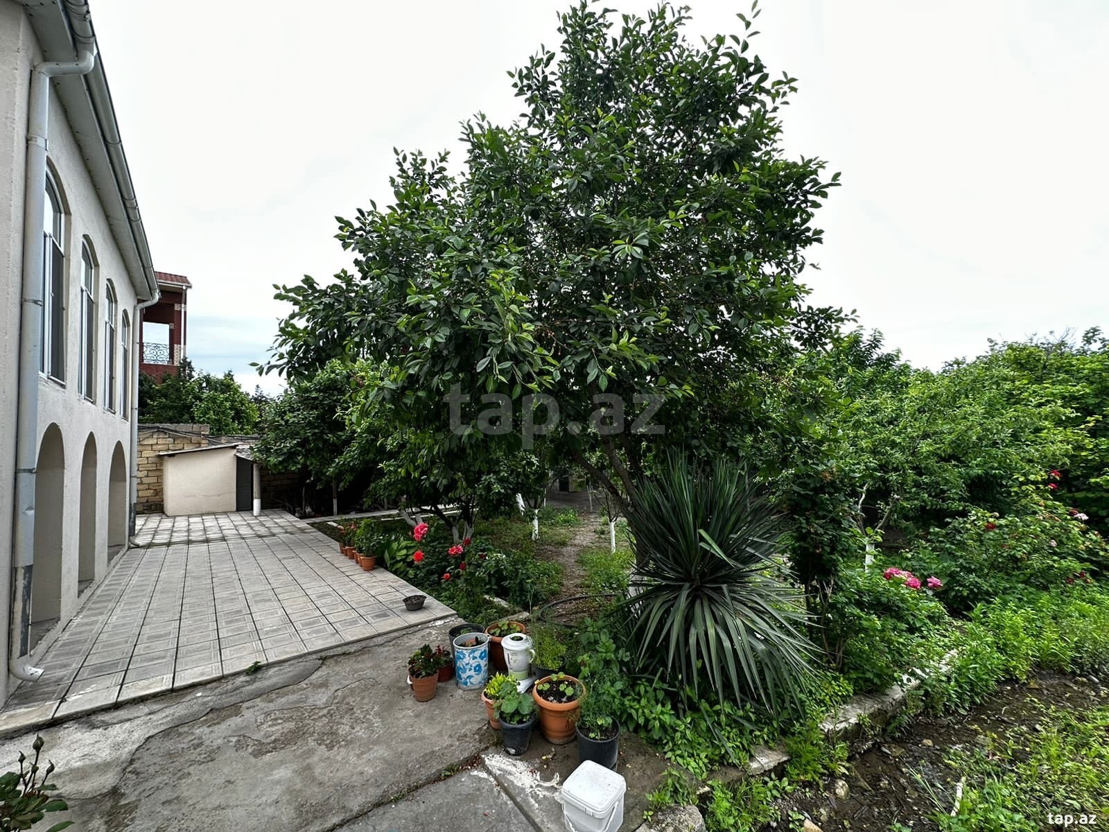 Həyət evi kirayə verilir, Nabran r. (17)