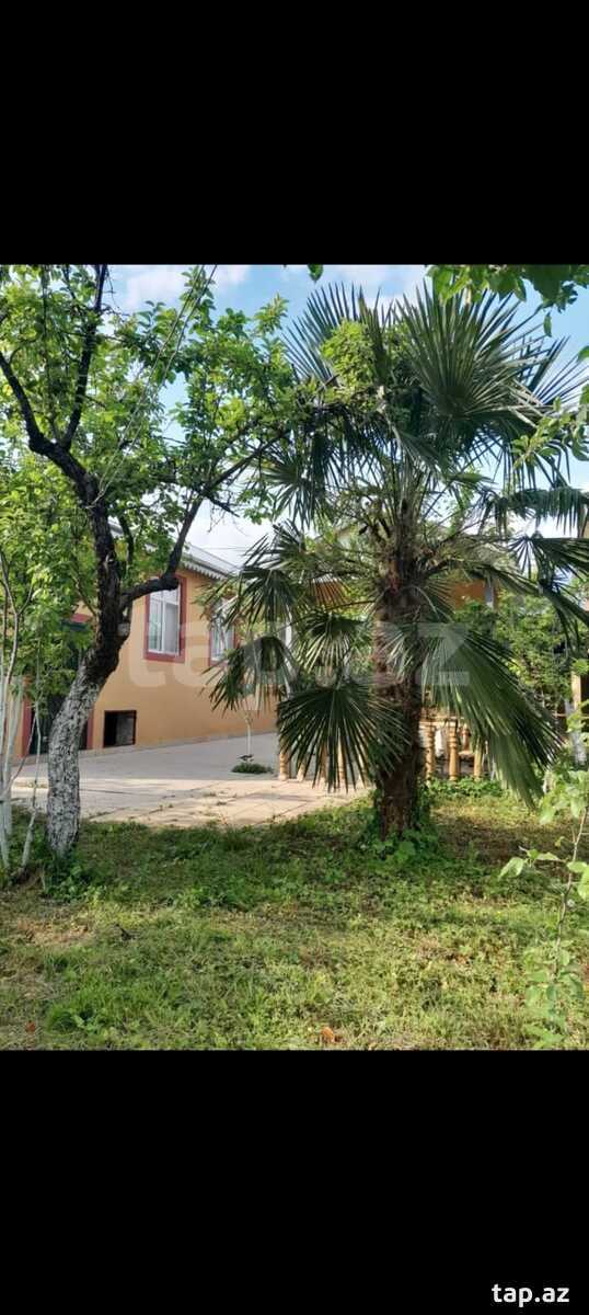 Həyət evi kirayə verilir, İsmayıllı r. (2)