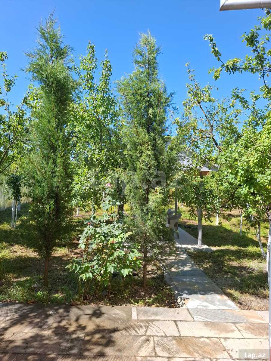 Həyət evi kirayə verilir, İsmayıllı r. (13)