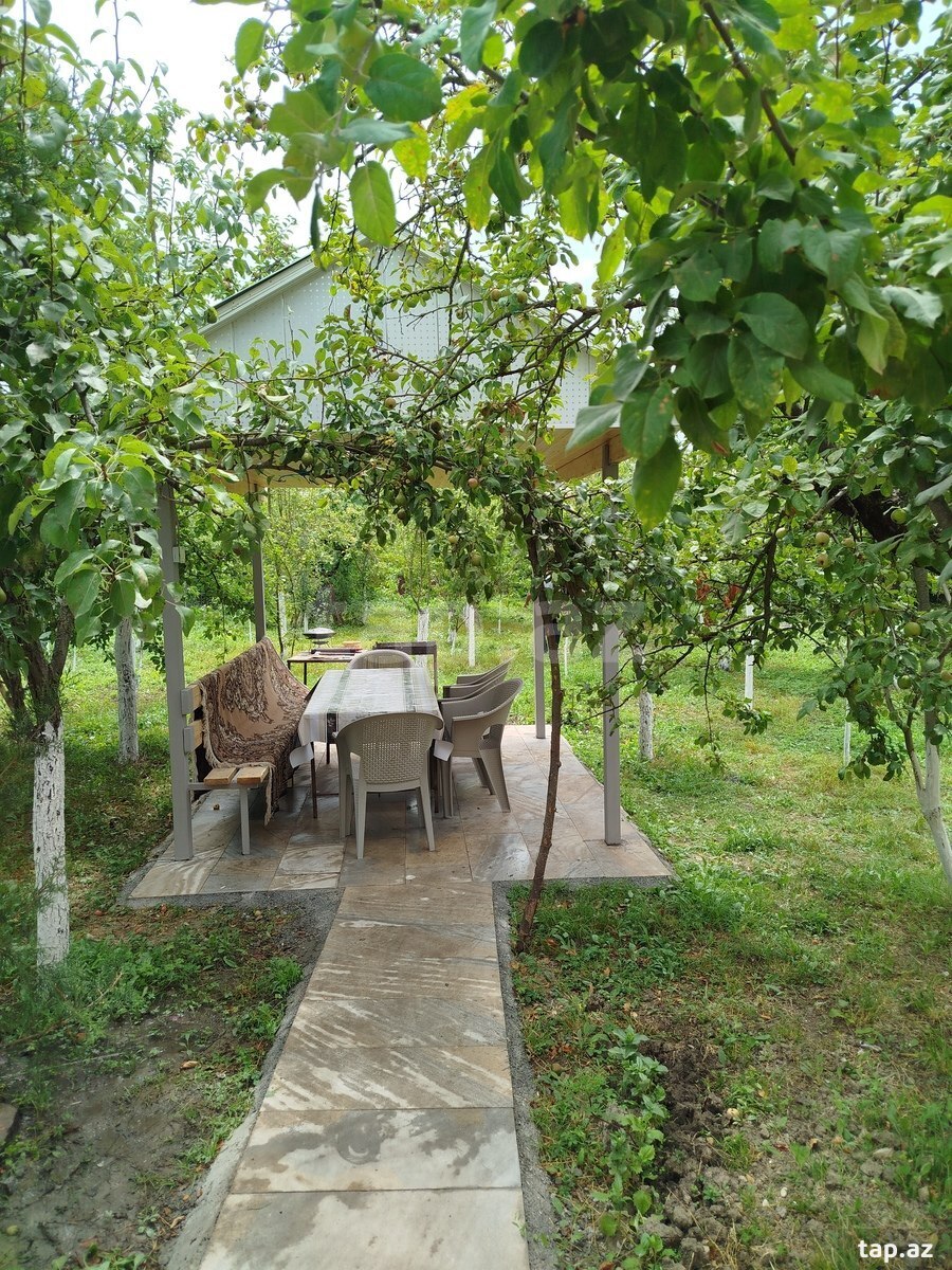 Həyət evi kirayə verilir, İsmayıllı r. (7)