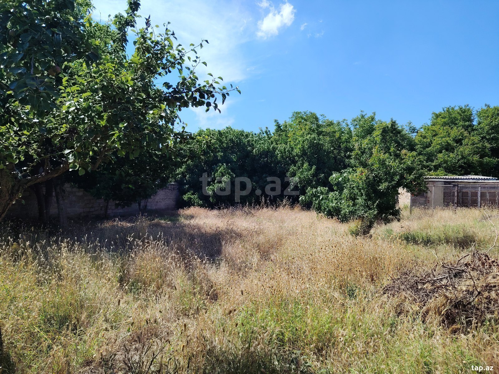 4.5 sot torpaq sahəsi, Binə qəs.
