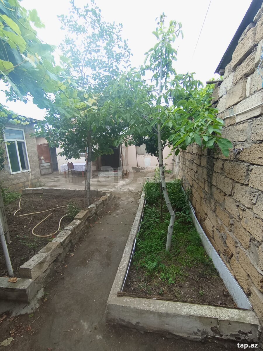Həyət evi, Xəzər bağları