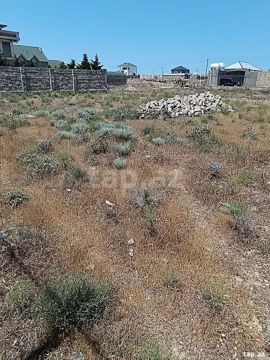 10 sot torpaq sahəsi, Türkan qəs. (2)