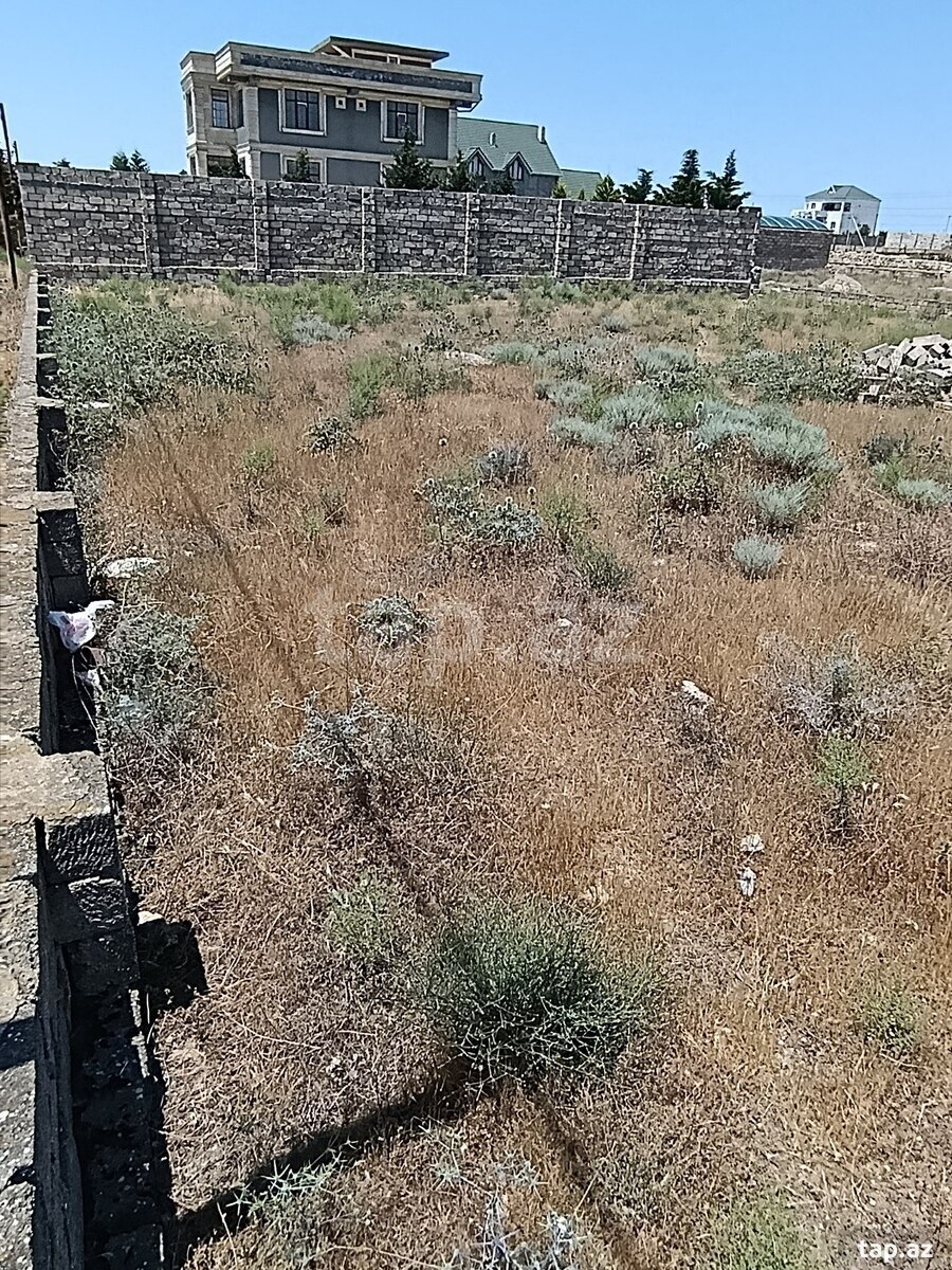 10 sot torpaq sahəsi, Türkan qəs. (3)