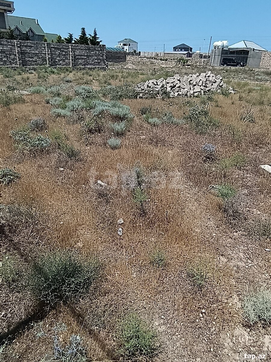 10 sot torpaq sahəsi, Türkan qəs. (4)
