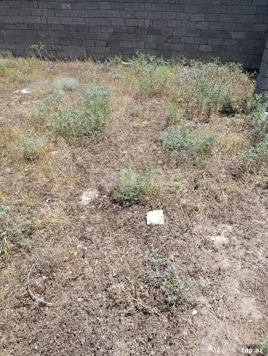 10 sot torpaq sahəsi, Türkan qəs. (11)