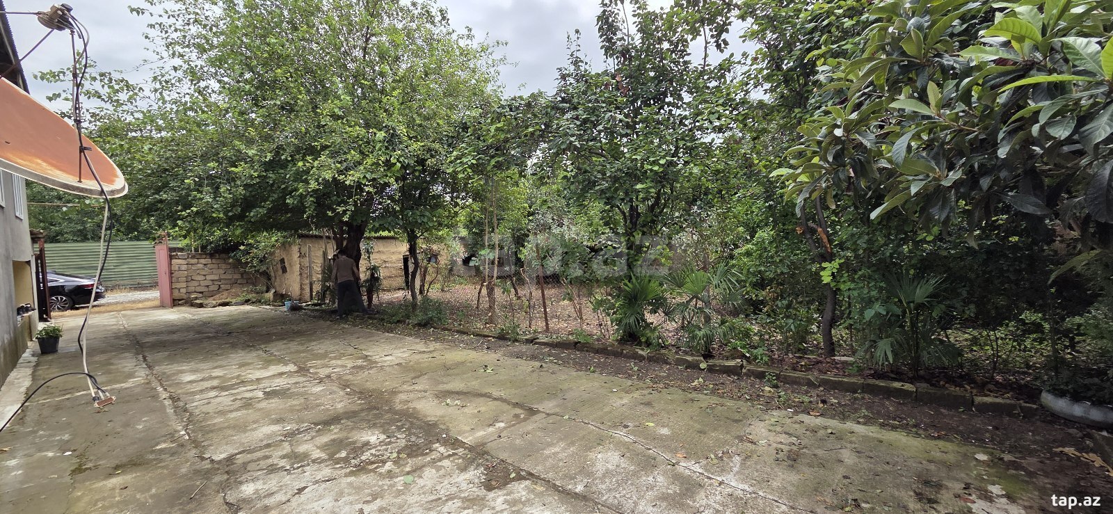 Bağ evi, Cəlilabad r. (5)