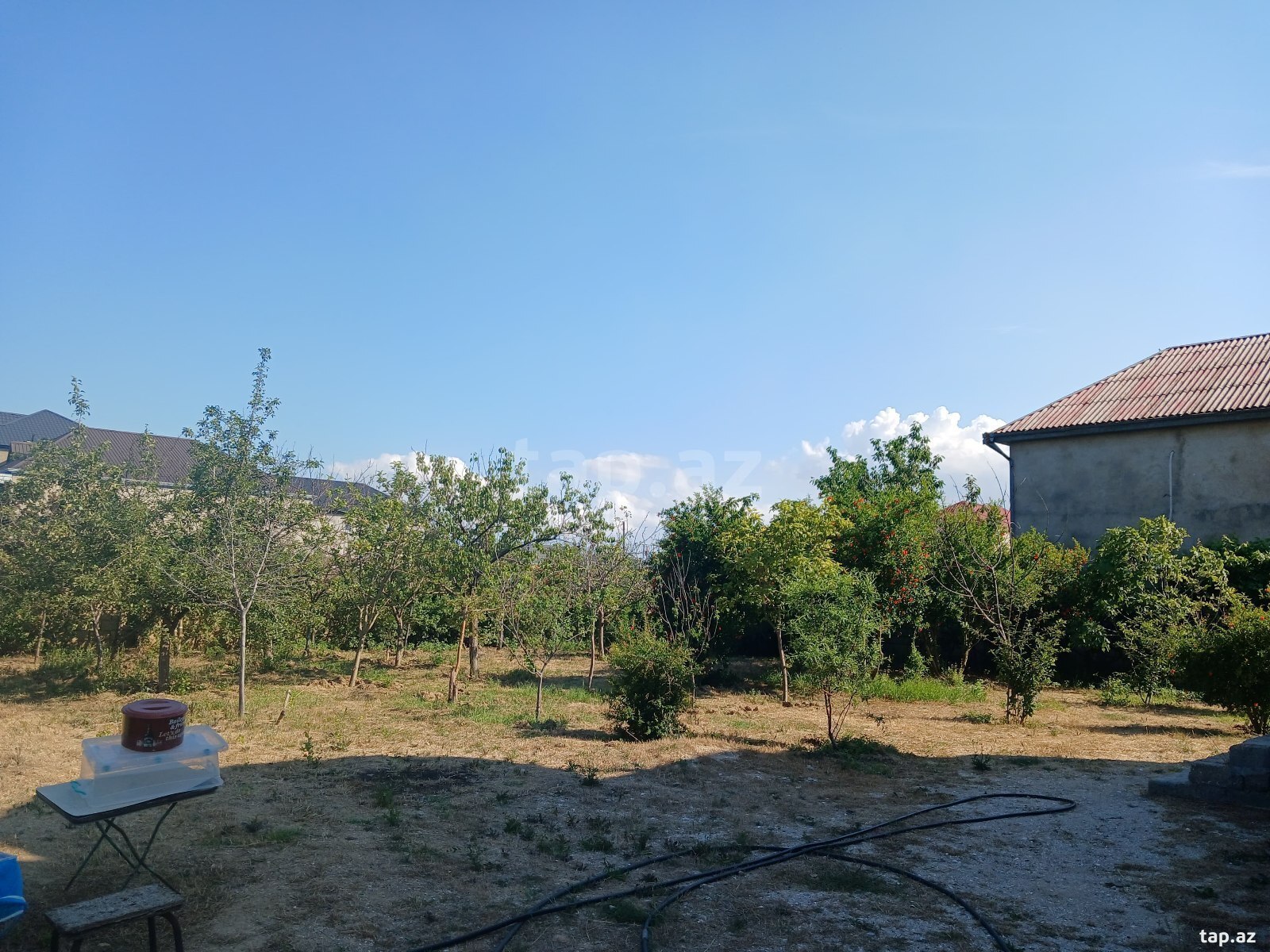 5.5 sot torpaq sahəsi, Savalan qəs. (2)