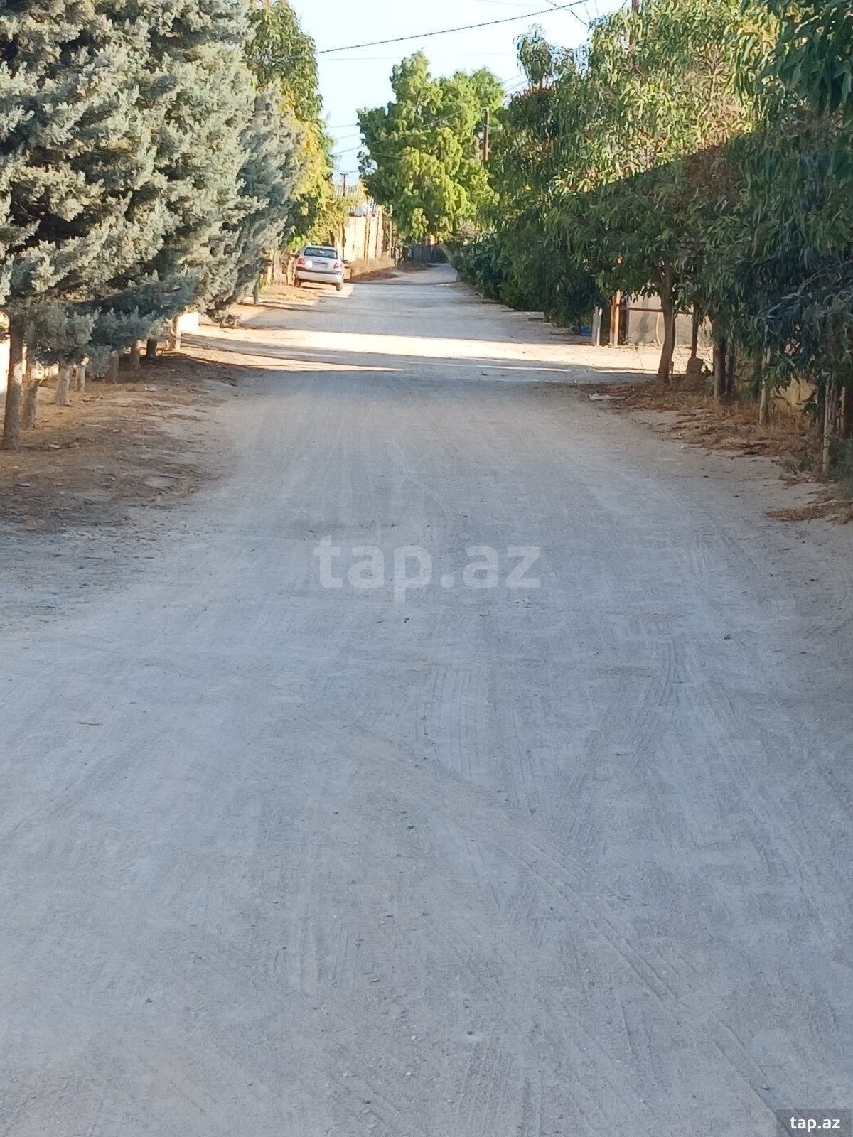 10 sot torpaq sahəsi, Türkan qəs. (7)