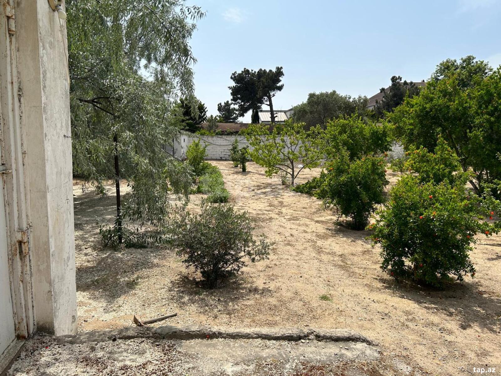 19.2 sot torpaq sahəsi, Bilgəh qəs. (7)