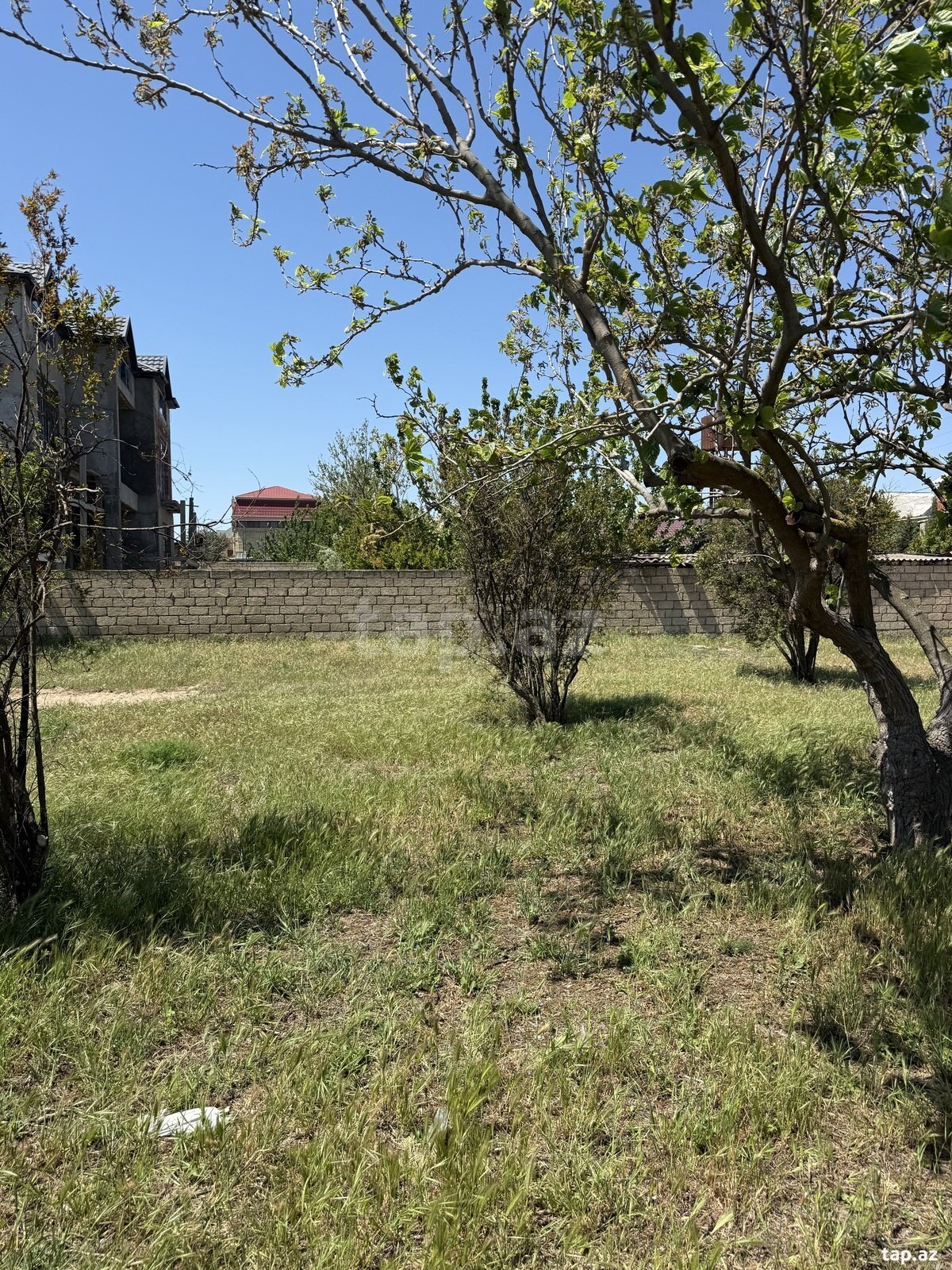 2 sot torpaq sahəsi, Novxanı qəs. (2)