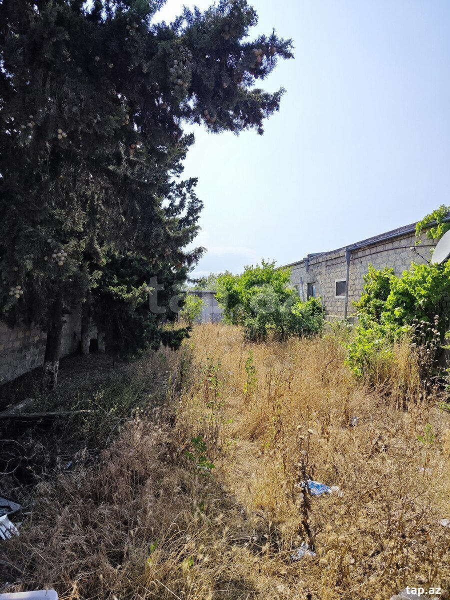 19 sot torpaq sahəsi, Bilgəh qəs.