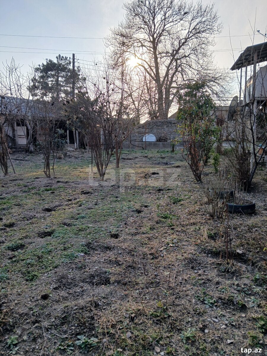 4 sot torpaq sahəsi, Şəki ş. (4)