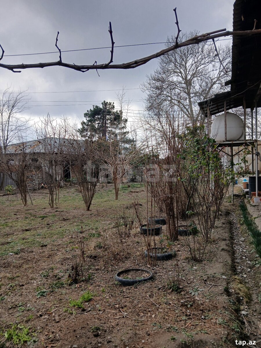 4 sot torpaq sahəsi, Şəki ş. (5)