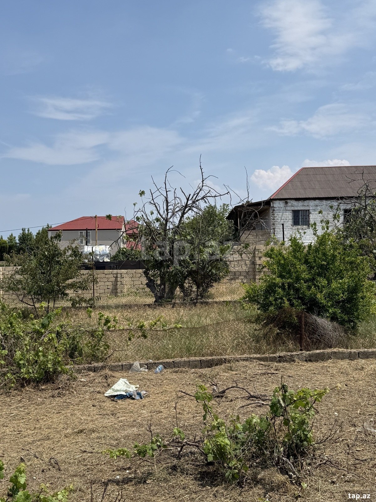 2 sot torpaq sahəsi, Görədil qəs.