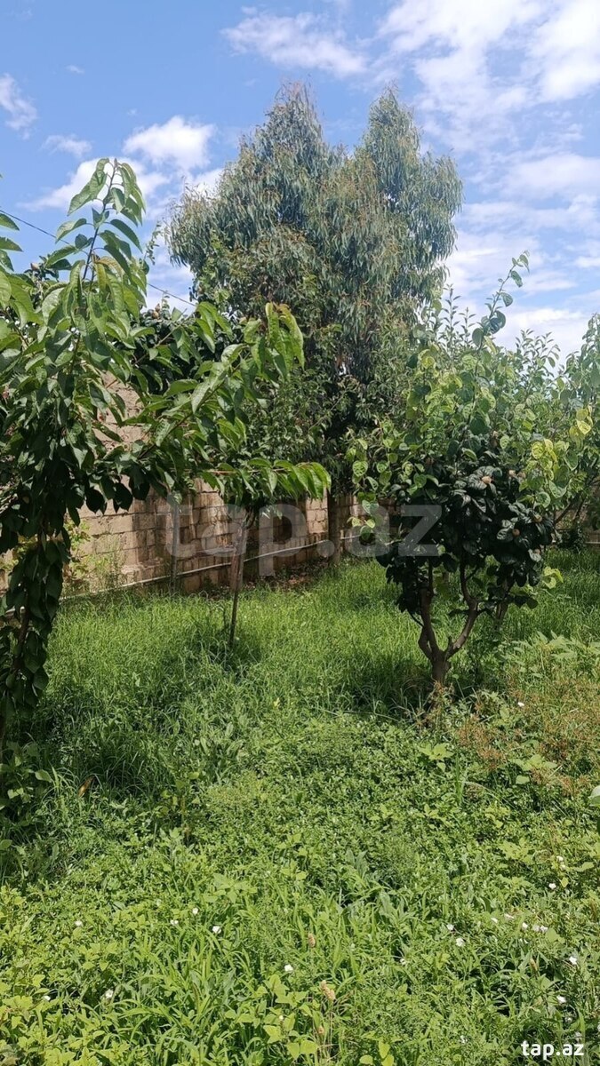 3 sot torpaq sahəsi, Qobu qəs. (3)