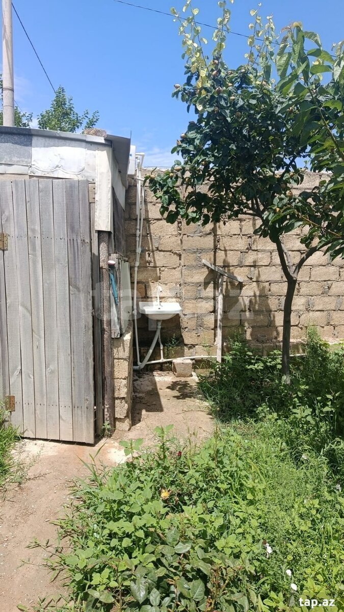 3 sot torpaq sahəsi, Qobu qəs. (2)